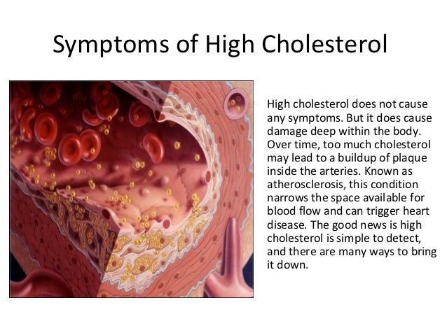 Do Foods High In Cholesterol Cause High Cholesterol Do Foods High In Cholesterol Cause High Cholesterol