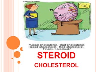 STEROID
CHOLESTEROL
 