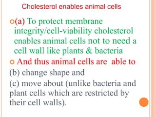 (a) To protect membrane
integrity/cell-viability cholesterol
enables animal cells not to need a
cell wall like plants & bacteria
 And thus animal cells are able to
(b) change shape and
(c) move about (unlike bacteria and
plant cells which are restricted by
their cell walls).
 