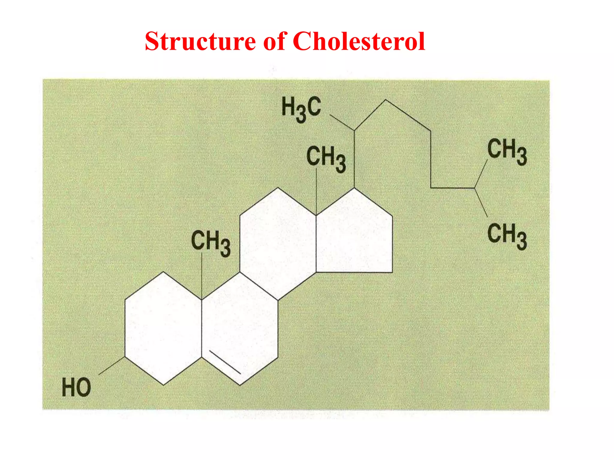 cholesterol.pptx