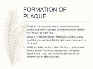 FORMATION OF
PLAQUE
– STAGE 1- The increased level of cholesterol causes
overloading of macrophages with cholesterol in arterial
wall, known as foam cells.
– STAGE 2- PROGRESSION OF ATHEROSCLEROSIS: In this,
smooth muscle cells containing lipid droplets are seen in
the lesion.
– STAGE 3- FIBROUS PROLIFERATION: Due to liberation of
various growth factors by macrophages, collagen is
accumulated. Thus, their is definite component of
inflammation in atherosclerosis.
 