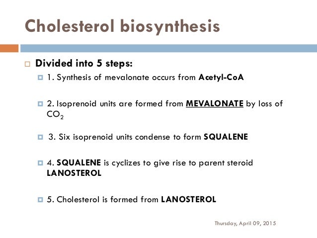 cholesterol synthesis