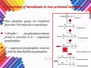 2. Conversion of mevalonate to two activated isoprenes.
Three phosphate groups are transferred
from three ATP molecules to mevalonate.
3-Phospho-5 pyrophosphomevalonate
formed is converted to ∆3 – isopentenyl
pyrophosphate.
∆3 – isopentenyl pyrophosphate isomerize
to yield the dimethylallyl pyrophosphate.
 