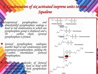 3. Condensation of six activated isoprene units to form
Squalene
Isopentenyl pyrophosphate and
dimethylallyl pyrophosphate undergo a
head to tail condensation in which one
pyrophosphate group is displaced and a
10 - carbon chain, Geranyl
pyrophosphate is formed.
Geranyl pyrophosphate undergoes
another head to tail condensation with
isopentenyl pyrophosphate, yielding the
15-carbon intermediate farnesyl
pyrophosphate.
Finally two molecules of farnesyl
pyrophosphate join head to head with
the elimination of both pyrophoshate
groups, to form squalene.
 