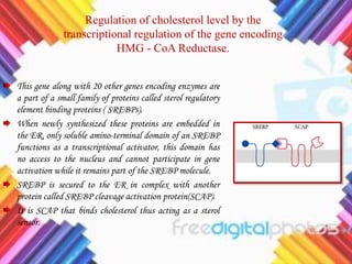 Regulation of cholesterol level by the
transcriptional regulation of the gene encoding
HMG - CoA Reductase.
This gene along with 20 other genes encoding enzymes are
a part of a small family of proteins called sterol regulatory
element binding proteins ( SREBPs).
When newly synthesized these proteins are embedded in
the ER, only soluble amino-terminal domain of an SREBP
functions as a transcriptional activator, this domain has
no access to the nucleus and cannot participate in gene
activation while it remains part of the SREBP molecule.
SREBP is secured to the ER in complex with another
protein called SREBP cleavage activation protein(SCAP).
It is SCAP that binds cholesterol thus acting as a sterol
sensor.
 