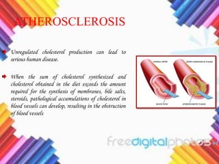 ATHEROSCLEROSIS
Unregulated cholesterol production can lead to
serious human disease.
When the sum of cholesterol synthesized and
cholesterol obtained in the diet exceeds the amount
required for the synthesis of membranes, bile salts,
steroids, pathological accumulations of cholesterol in
blood vessels can develop, resulting in the obstruction
of blood vessels
 