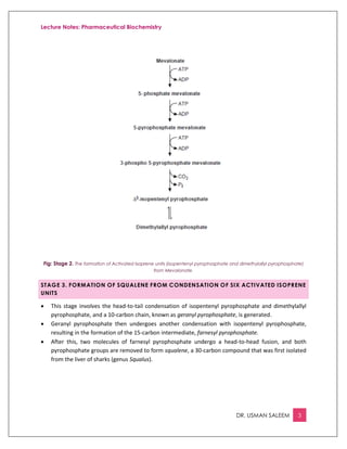 Lecture Notes: Pharmaceutical Biochemistry
DR. USMAN SALEEM 3
Fig: Stage 2. The formation of Activated Isoprene units (isopentenyl pyrophosphate and dimethylallyl pyrophosphate)
from Mevalonate.
STAGE 3. FORMATION OF SQUALENE FROM CONDENSATION OF SIX ACTIVATED ISOPRENE
UNITS
 This stage involves the head-to-tail condensation of isopentenyl pyrophosphate and dimethylallyl
pyrophosphate, and a 10-carbon chain, known as geranyl pyrophosphate, is generated.
 Geranyl pyrophosphate then undergoes another condensation with isopentenyl pyrophosphate,
resulting in the formation of the 15-carbon intermediate, farnesyl pyrophosphate.
 After this, two molecules of farnesyl pyrophosphate undergo a head-to-head fusion, and both
pyrophosphate groups are removed to form squalene, a 30-carbon compound that was first isolated
from the liver of sharks (genus Squalus).
 