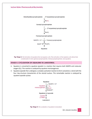 Lecture Notes: Pharmaceutical Biochemistry
DR. USMAN SALEEM 4
Fig: Stage 3. The formation of squalene from six isoprene units. The activation of the isoprene units drives their
condensation to form geranyl pyrophosphate, farnesyl pyrophosphate, and squalene.
STAGE 4. CYCLIZATION OF SQUALENE TO LANOSTEROL
 Squalene is converted to squalene epoxide in a reaction that requires both NADPH and molecular
oxygen (O2). This reaction is catalyzed by squalene monooxygenase.
 Squalene epoxide then undergoes a complex cyclization reaction to form Lanosterol, a sterol with the
four ring structure characteristic of the steroid nucleus. This remarkable reaction is catalyzed by
squalene epoxide cyclase.
Fig: Stage 4. The cyclization of squalene to lanosterol
 