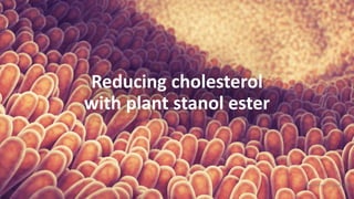 Reducing cholesterol
with plant stanol ester
CONFIDENTIAL – Copyright® Raisio1
 