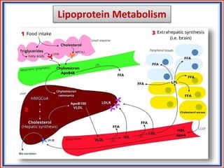 Lipoprotein Metabolism
 