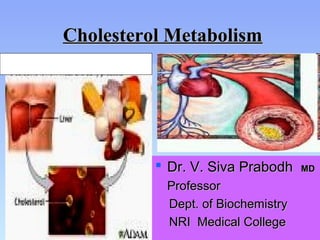 Cholesterol MetabolismCholesterol Metabolism
 Dr. V. Siva PrabodhDr. V. Siva Prabodh MDMD
ProfessorProfessor
Dept. of BiochemistryDept. of Biochemistry
NRI Medical CollegeNRI Medical College
 