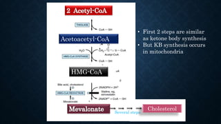 Acetoacetyl-CoA
HMG-CoA
Several steps
Cholesterol
• First 2 steps are similar
as ketone body synthesis
• But KB synthesis occurs
in mitochondria
 