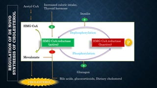HMG-CoA reductase
(active)
HMG-CoA reductase
(Inactive)
Acetyl-CoA
HMG-CoA
Mevalonate
CHOLESTEROL
Insulin
Glucagon
Increased caloric intake,
Thyroid hormone
Bile acids, glucocorticoids, Dietary cholesterol
P
Dephosphorylation
Phosphorylation
+
+
+
-
REGULATION
OF
DE
NOVO
SYNTHESIS
OF
CHOLESTEROL
 