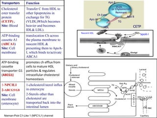 Cholesterol metabolism-Dyslipidemia managment.pdf