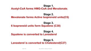 April 23 Ass.prof.Dr. Sukayna Hussain
Stage 1.
Acetyl-CoA forms HMG-CoA and Mevalonate.
Stage 2.
Mevalonate forms Active Isoprenoid units(C5)
Stage 3.
6 Isoprenoid units form Squalene (C30)
Stage 4.
Squalene is converted to Lanosterol
Stage 5.
Lanosterol is converted to Cholesterol(C27)
 