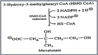 April 23 Ass.prof.Dr. Sukayna Hussain
 
