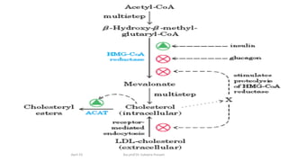 April 23 Ass.prof.Dr. Sukayna Hussain
 