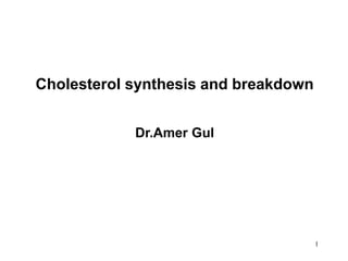 Cholesterol synthesis and breakdown
Dr.Amer Gul
1
 