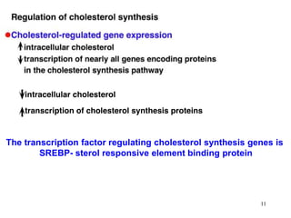 The transcription factor regulating cholesterol synthesis genes is
SREBP- sterol responsive element binding protein
11
 