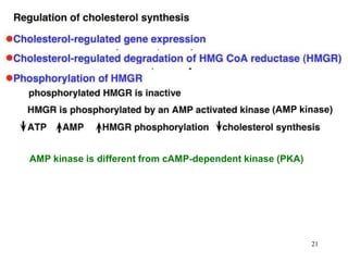 (AMP kinase)
AMP kinase is different from cAMP-dependent kinase (PKA)
21
 