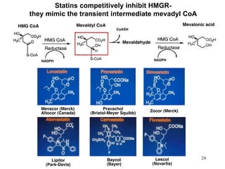 Statins competitively inhibit HMGR-
they mimic the transient intermediate mevadyl CoA
24
 