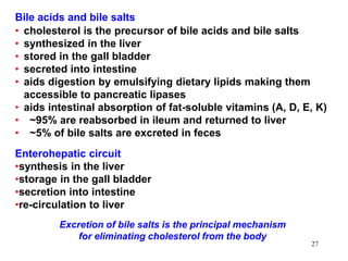• cholesterol is the precursor of bile acids and bile salts
• synthesized in the liver
• stored in the gall bladder
• secreted into intestine
• aids digestion by emulsifying dietary lipids making them
accessible to pancreatic lipases
• aids intestinal absorption of fat-soluble vitamins (A, D, E, K)
• ~95% are reabsorbed in ileum and returned to liver
• ~5% of bile salts are excreted in feces
Bile acids and bile salts
Excretion of bile salts is the principal mechanism
for eliminating cholesterol from the body
Enterohepatic circuit
•synthesis in the liver
•storage in the gall bladder
•secretion into intestine
•re-circulation to liver
27
 