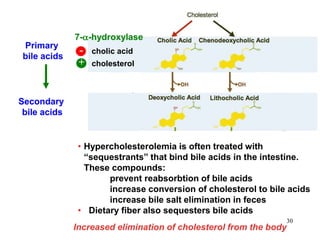 • Hypercholesterolemia is often treated with
“sequestrants” that bind bile acids in the intestine.
These compounds:
prevent reabsorbtion of bile acids
increase conversion of cholesterol to bile acids
increase bile salt elimination in feces
• Dietary fiber also sequesters bile acids
Secondary
bile acids
Secondary
bile acids
Primary
bile acids
7-a-hydroxylase
cholic acid-
+ cholesterol
30
Increased elimination of cholesterol from the body
 
