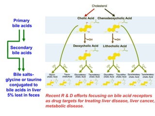 Secondary
bile acids
Primary
bile acids
Bile salts-
glycine or taurine
conjugated to
bile acids in liver
5% lost in feces Recent R & D efforts focusing on bile acid receptors
as drug targets for treating liver disease, liver cancer,
metabolic disease.
 