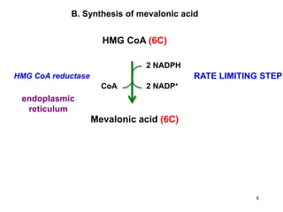 endoplasmic
reticulum
B. Synthesis of mevalonic acid
HMG CoA (6C)
HMG CoA reductase
2 NADPH
2 NADP+CoA
Mevalonic acid (6C)
RATE LIMITING STEP
8
 