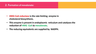 • HMG CoA reductase is the rate limiting enzyme in
cholesterol biosynthesis.
• This enzyme is present in endoplasmic reticulum and catalyses the
reduction of HMG CoA to mevalonate.
• The reducing equivalents are supplied by NADPH.
2. Formation of mevalonate:
 