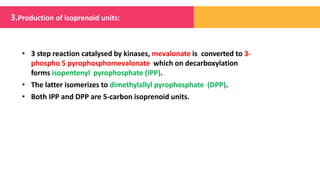 • 3 step reaction catalysed by kinases, mevalonate is converted to 3-
phospho 5 pyrophosphomevalonate which on decarboxylation
forms isopentenyl pyrophosphate (IPP).
• The latter isomerizes to dimethylallyl pyrophosphate (DPP).
• Both IPP and DPP are 5-carbon isoprenoid units.
3.Production of isoprenoid units:
 