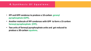 • IPP and DPP condense to produce a 10-carbon geranyl
pyrophosphate (GPP).
• Another molecule of IPP condenses with GPP to form a 15-carbon
farnesyl pyrophosphate (FPP).
• Two units of farnesyl pyrophosphate unite and get reduced to
produce a 30-carbon squalene.
4. S y n t h e s i s O f S q u e l e n e :
 