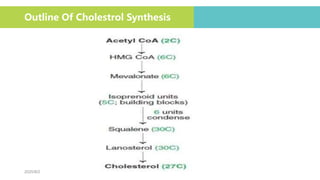 2020/8/2
Outline Of Cholestrol Synthesis
 