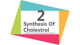 2Synthesis Of
Cholestrol
 