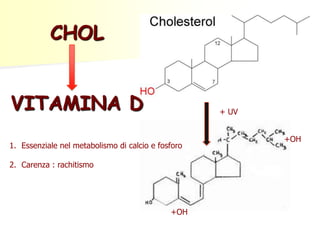 CHOL
VITAMINA D

+ UV

1. Essenziale nel metabolismo di calcio e fosforo
2. Carenza : rachitismo

+OH

+OH

 