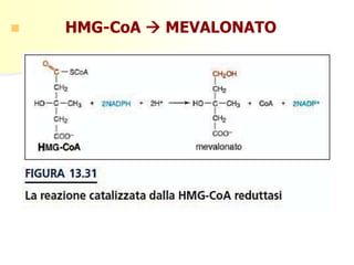 

HMG-CoA  MEVALONATO

 