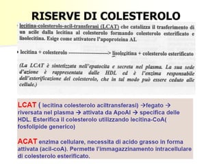 RISERVE DI COLESTEROLO

 