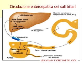 Circolazione enteroepatica dei sali biliari

UNICA VIA DI ESCREZIONE DEL CHOL

 