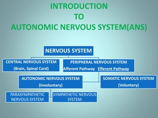 INTRODUCTION
TO
AUTONOMIC NERVOUS SYSTEM(ANS)
NERVOUS SYSTEM
CENTRAL NERVOUS SYSTEM
(Brain, Spinal Cord)
PERIPHERAL NERVOUS SYSTEM
Afferent Pathway Efferent Pathway
AUTONOMIC NERVOUS SYSTEM
(Involuntary)
PARASYMPATHETIC
NERVOUS SYSTEM
SYMPATHETIC NERVOUS
SYSTEM
SOMATIC NERVOUS SYSTEM
(Voluntary)
 
