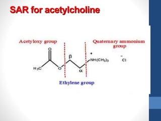SAR for acetylcholine
 