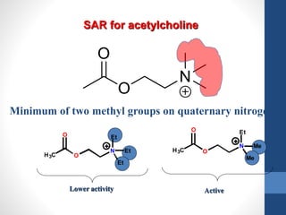 Minimum of two methyl groups on quaternary nitrogen
Lower activity
O
N
H3C
O Et
Et
Et
Active
O
N
H3C
O Et
Me
Me
SAR for acetylcholine
 