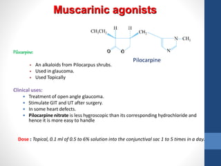 Muscarinic agonists
Pilocarpine:
 An alkaloids from Pilocarpus shrubs.
 Used in glaucoma.
 Used Topically
Clinical uses:
 Treatment of open angle glaucoma.
 Stimulate GIT and UT after surgery.
 In some heart defects.
 Pilocarpine nitrate is less hygroscopic than its corresponding hydrochloride and
hence it is more easy to handle
Dose : Topical, 0.1 ml of 0.5 to 6% solution into the conjunctival sac 1 to 5 times in a day.
Pilocarpine
 