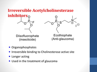 Irreversible Acetylcholinesterase
inhibitors
 Organophosphates
 Irreversible binding to Cholinesterase active site
 Longer acting
 Used in the treatment of glaucoma
 