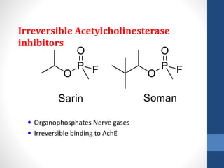 Irreversible Acetylcholinesterase
inhibitors
 Organophosphates Nerve gases
 Irreversible binding to AchE
 