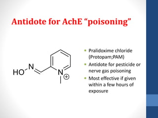 Antidote for AchE “poisoning”
 Pralidoxime chloride
(Protopam;PAM)
 Antidote for pesticide or
nerve gas poisoning
 Most effective if given
within a few hours of
exposure
Cl-
 