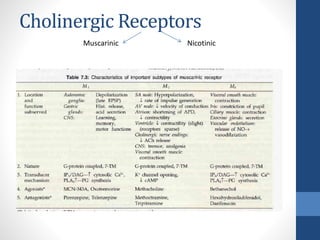 Cholinergic Receptors
Muscarinic Nicotinic
 