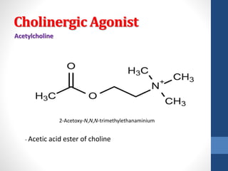 Cholinergic Agonist
Acetylcholine
2-Acetoxy-N,N,N-trimethylethanaminium
- Acetic acid ester of choline
 