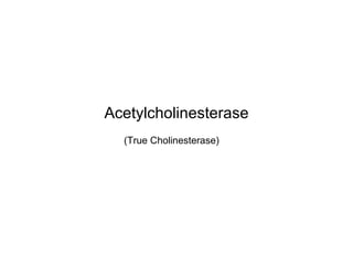 Acetylcholinesterase (True Cholinesterase) 