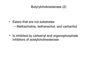 Butyrylcholinesterase (2) Esters that are not substrates Methacholine, bethanechol, and carbachol  Is inhibited by carbamyl and organophosphate inhibitors of acetylcholinesterase 