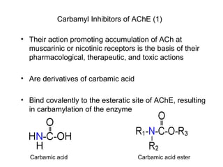 Their action promoting accumulation of ACh at muscarinic or nicotinic receptors is the basis of their pharmacological, therapeutic, and toxic actions Are derivatives of carbamic acid Bind covalently to the esteratic site of AChE, resulting in carbamylation of the enzyme Carbamyl Inhibitors of AChE (1) Carbamic acid Carbamic acid ester 